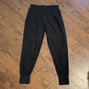 Aritzia Parklife Pants
